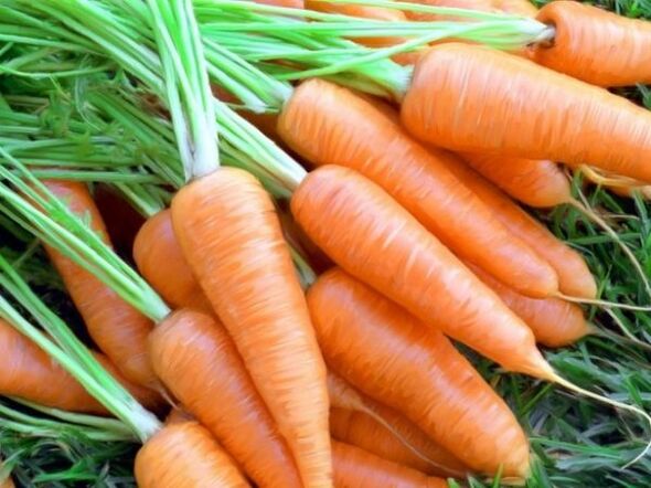 morcov și ulei de morcovi pentru întinerirea pielii